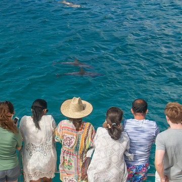 Trovao dos Mares-费尔南多-迪诺罗尼亚群岛必去景点