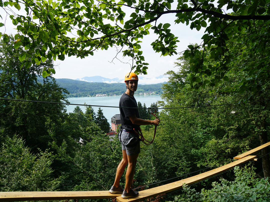 Waldseilpark Wörthersee景点图片