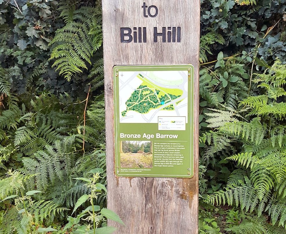 Bill Hill Ancient Monument景点图片