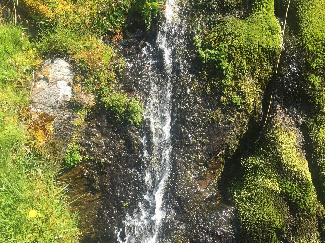 Pirineo de Lleida景点图片