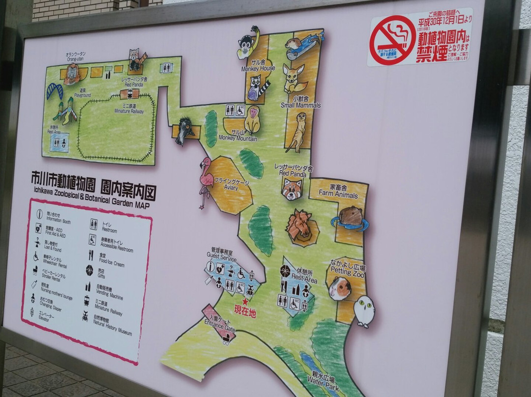 Ichikawa City Zoo-市川市必去景点