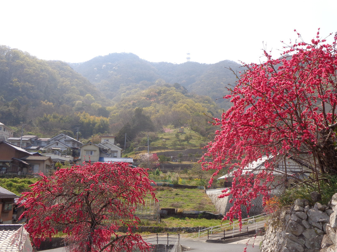 Mt. Fudekage景点图片