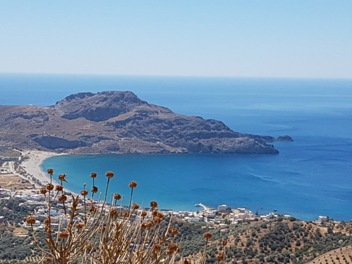 Safari4U-雷斯蒙必去景点