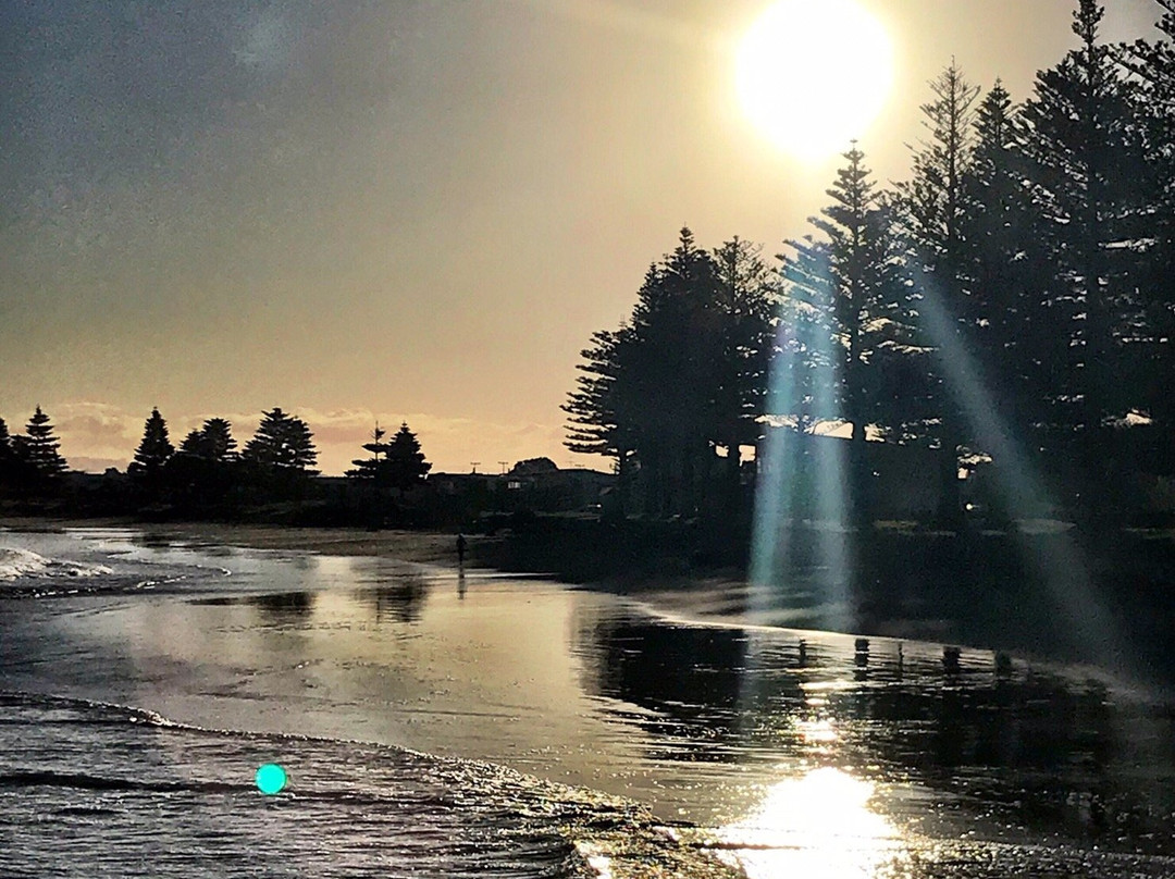 Waikanae Beach Playground景点图片