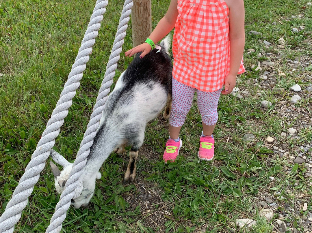 Granary Road-Foothills County必去景点