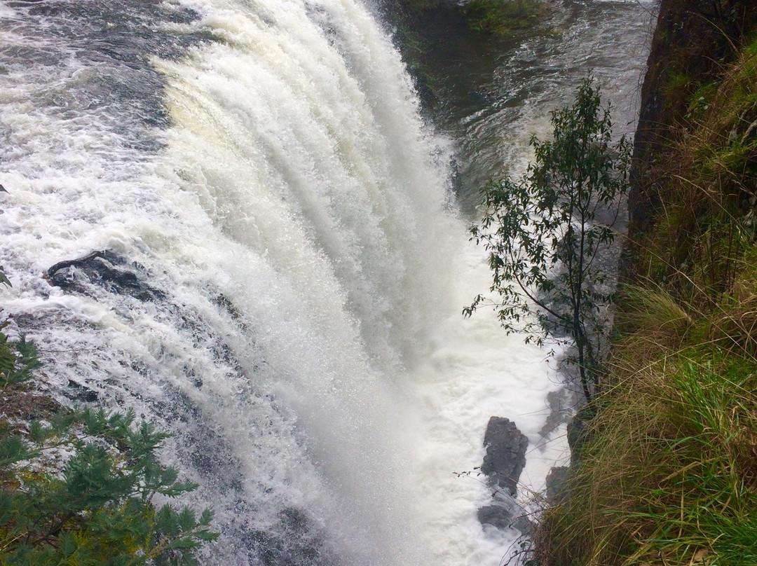 Guide Falls Reserve景点图片