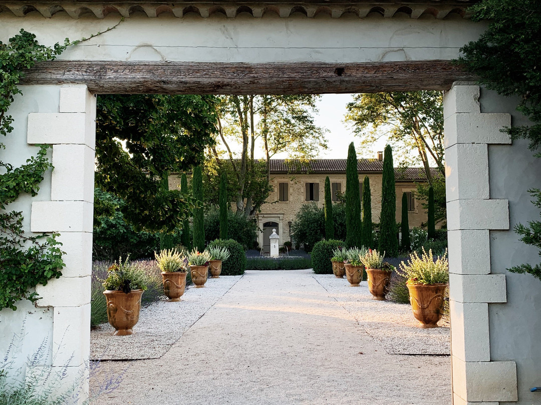 Domaine Clos Saint Estève主图
