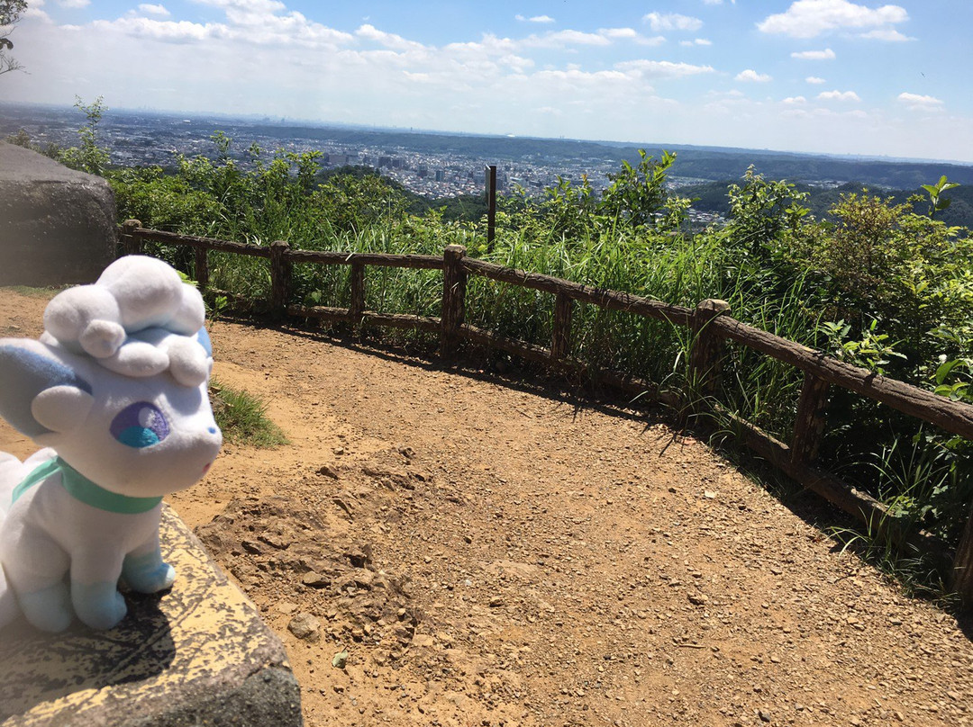 Tonosu Mountain-饭能市必去景点