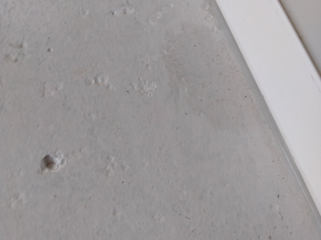 Hotel A Pamplona主图