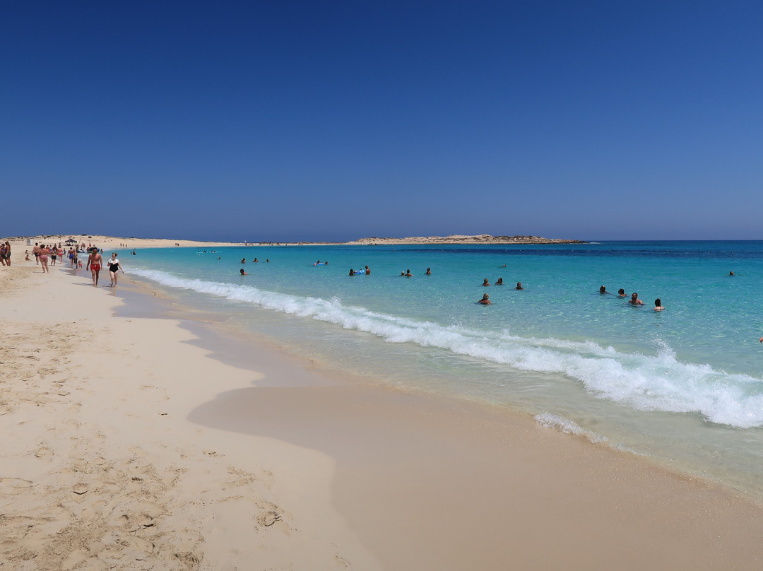 JAZ Oriental, Almaza Bay主图