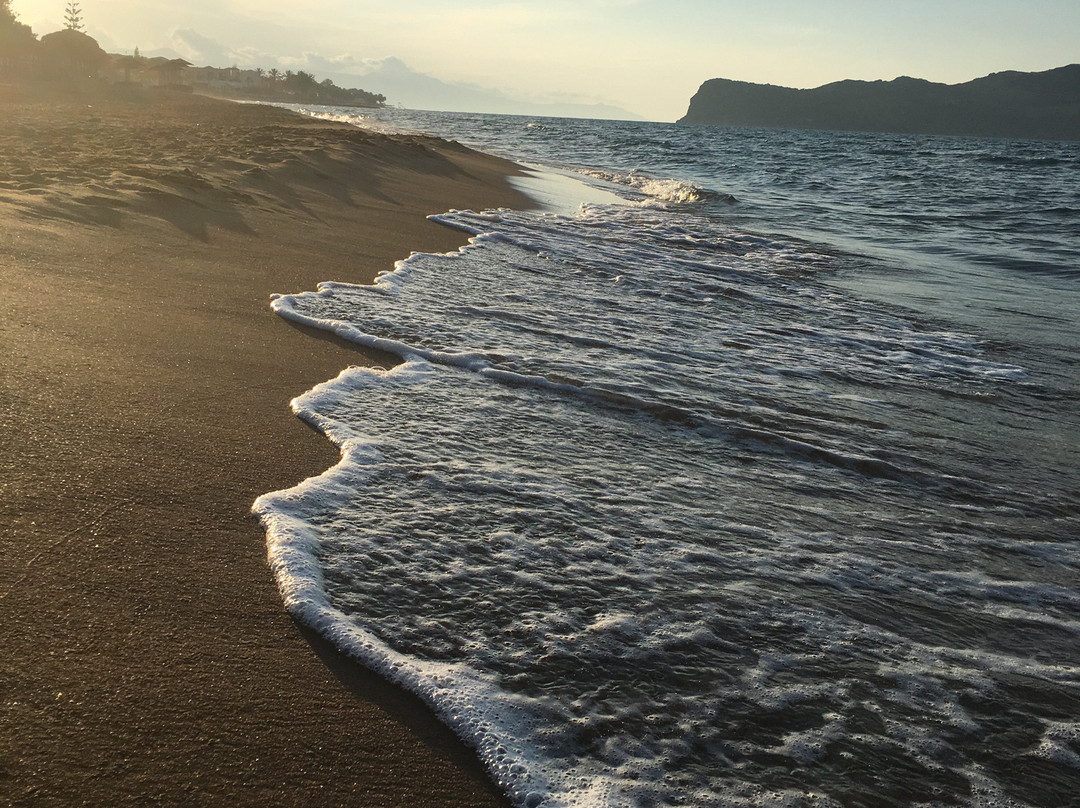 The Theodore Boutique Hotel主图