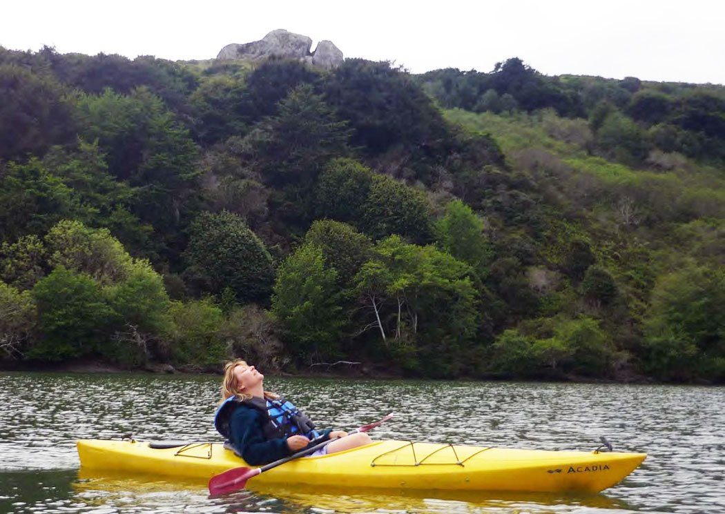 WaterTreks EcoTours - Jenner Kayaks景点图片