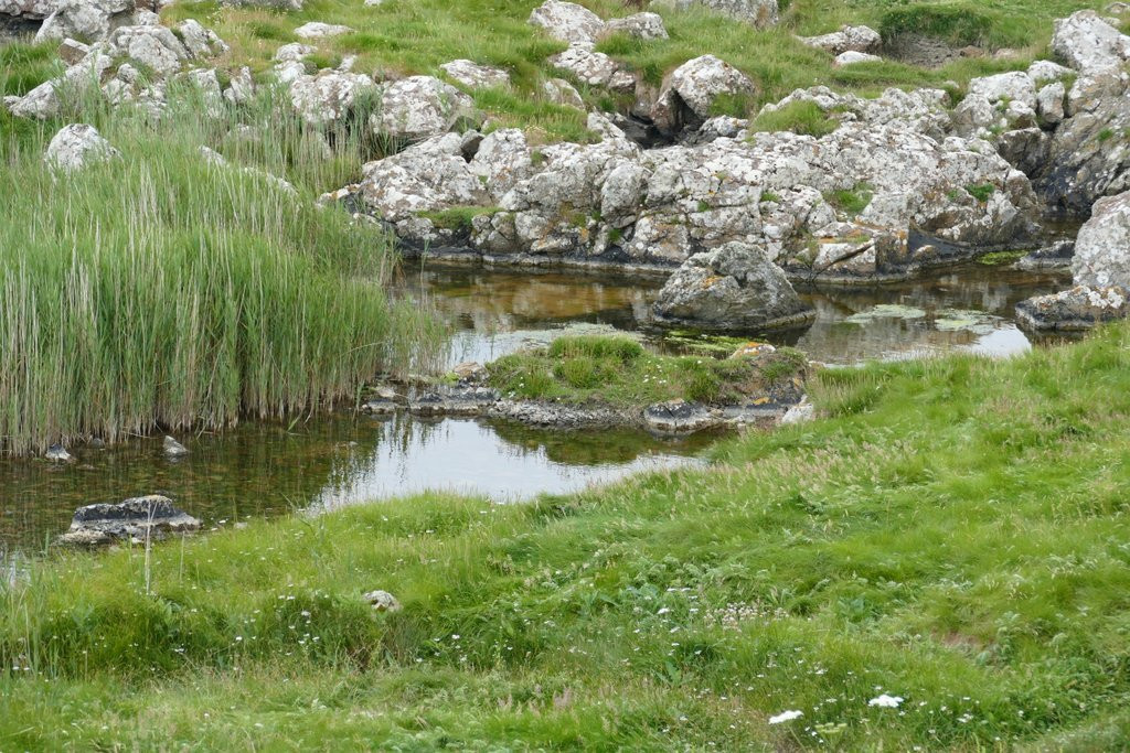 Scarlett Visitor Centre and Nature Trail景点图片