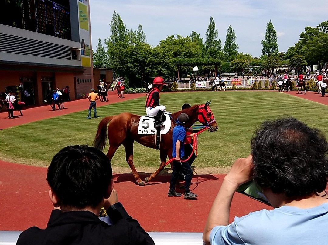 Niigata Horse Racetrack景点图片