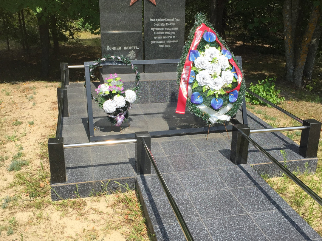 Holocaust Memorial-Bronnaya Gora必去景点