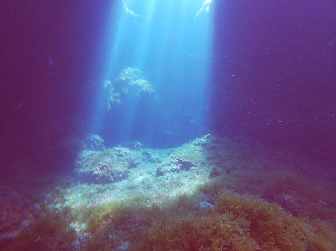 Diving Center Argentario Scuba Point景点图片