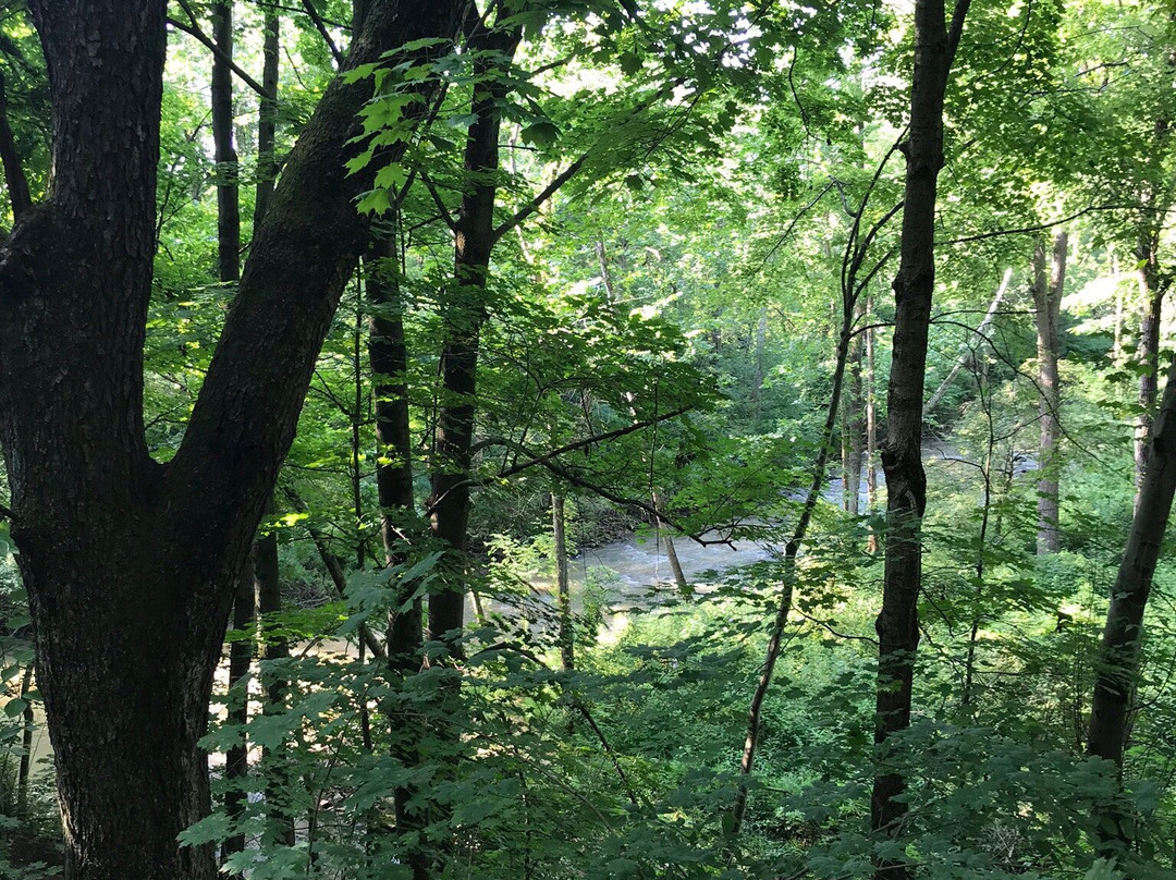 Lowe Volk Nature Center景点图片