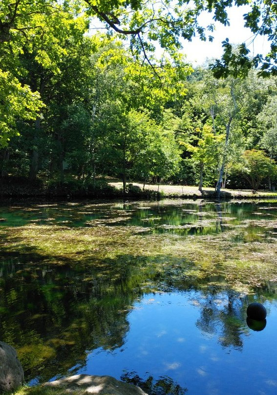 Torinuma Park-富良野市必去景点