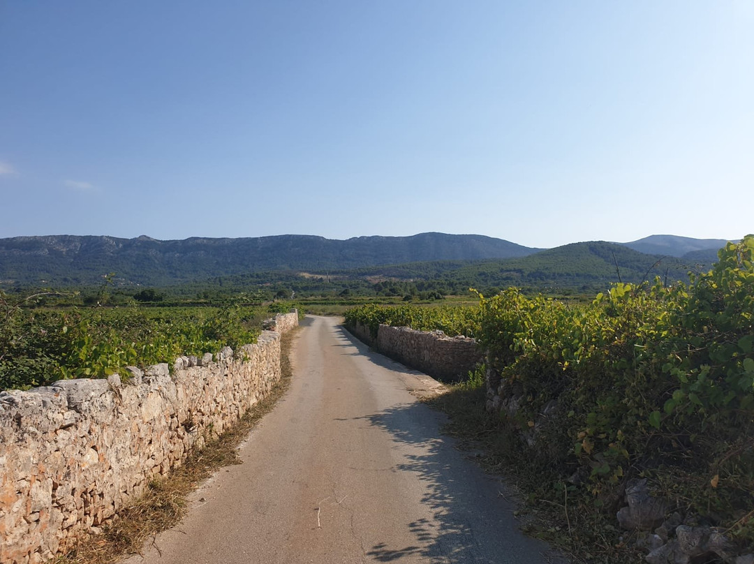 Hvar Life景点图片