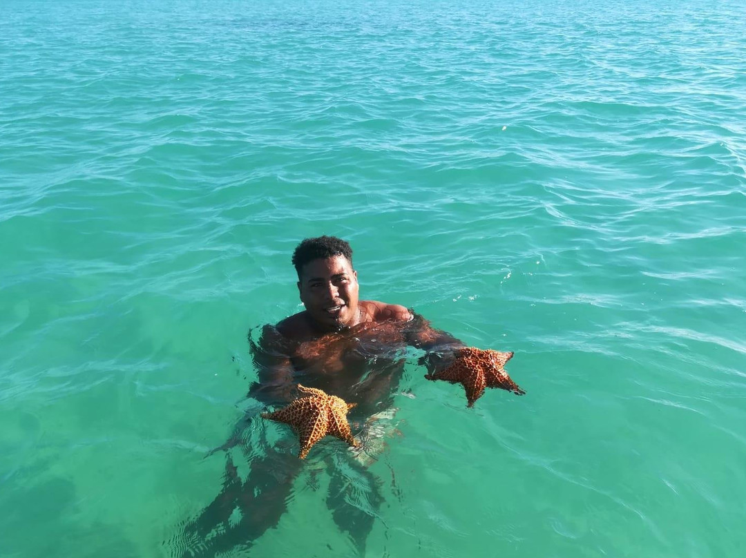 Saonaviptours-Isla Saona必去景点