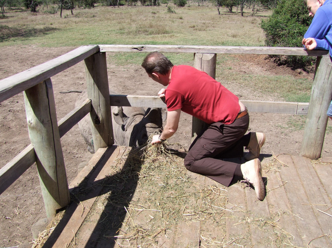 Debrazza Tours and Safaris-蒙巴萨必去景点