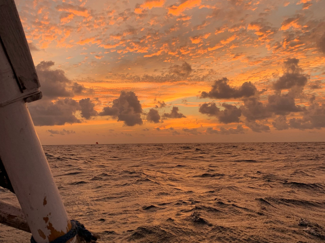 Valomia Beachfront主图