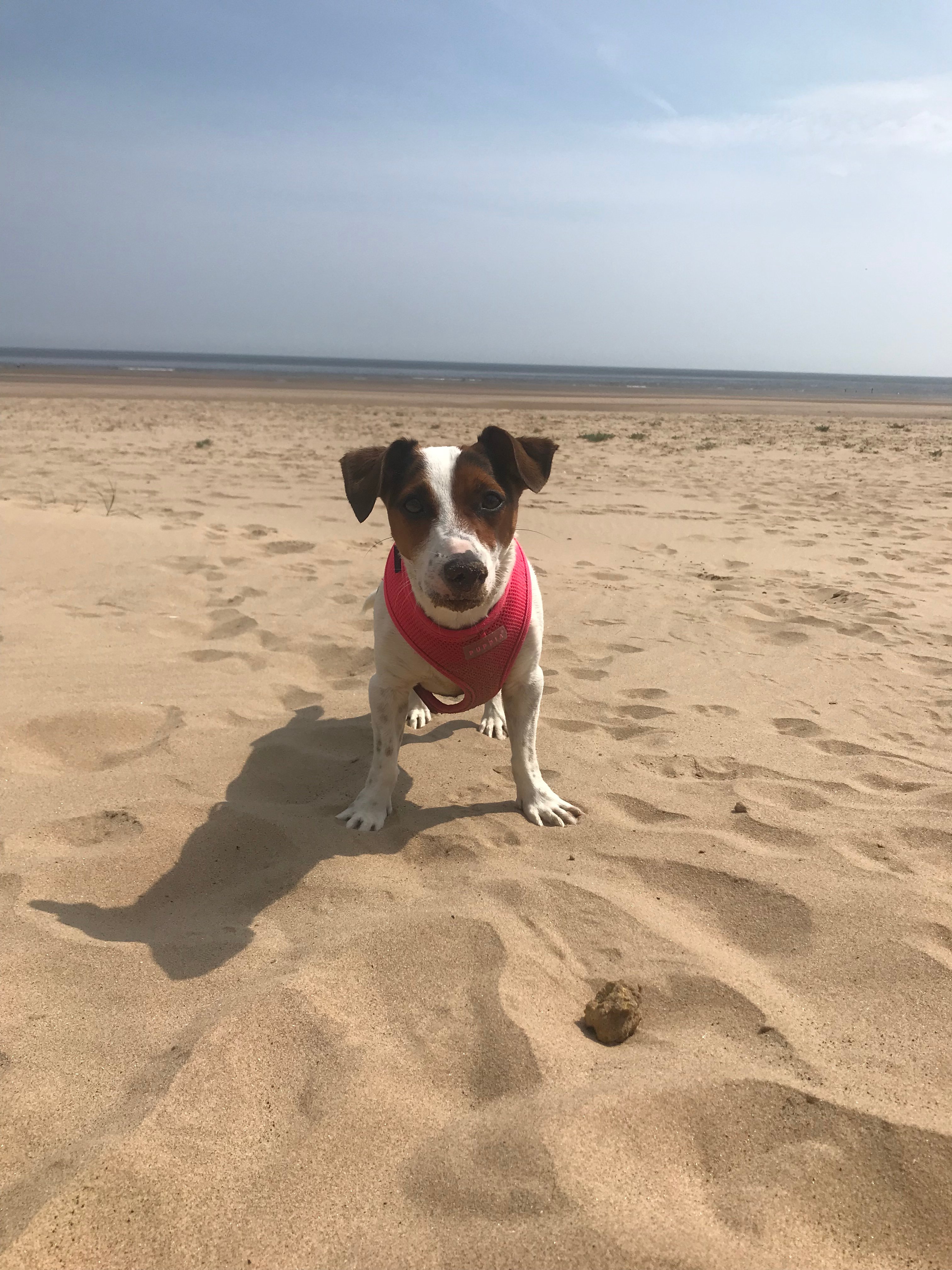 The Ramblers Guest House-官方