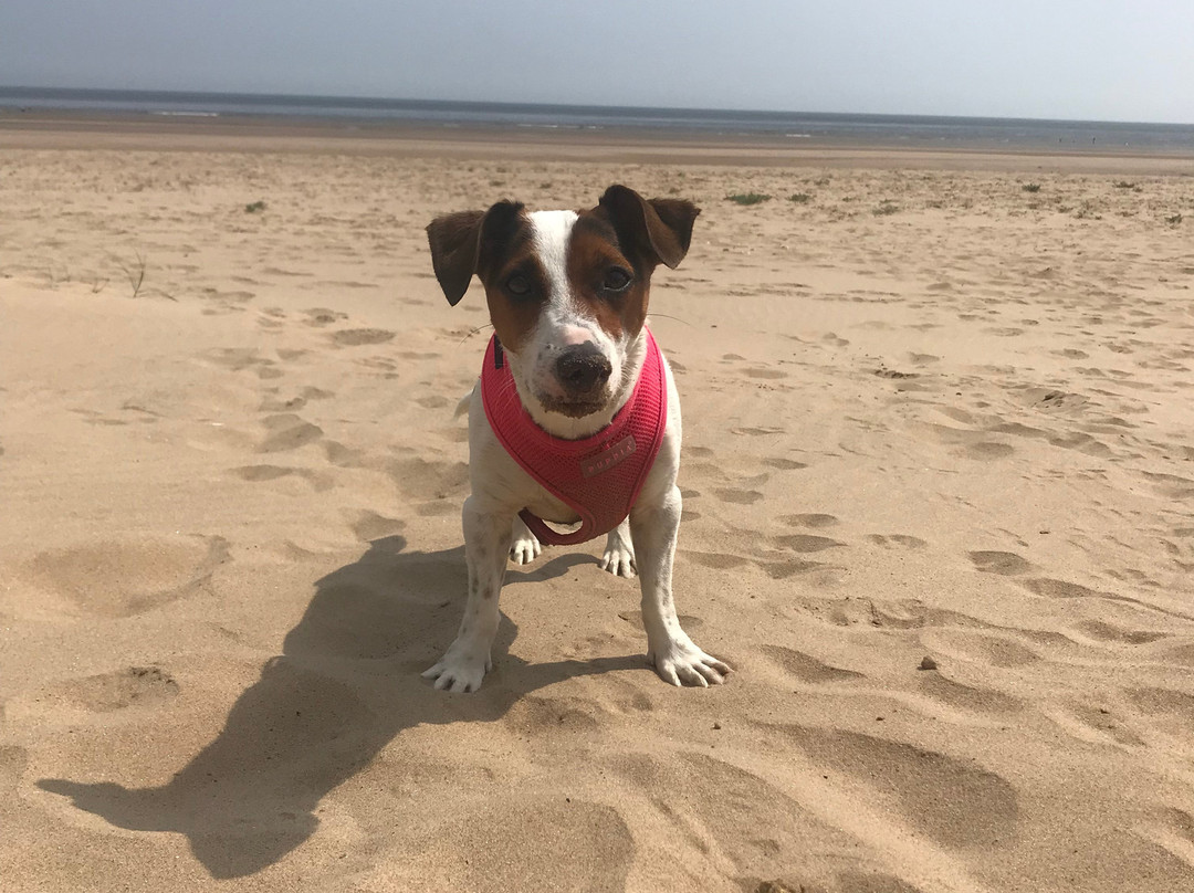 The Ramblers Guest House主图