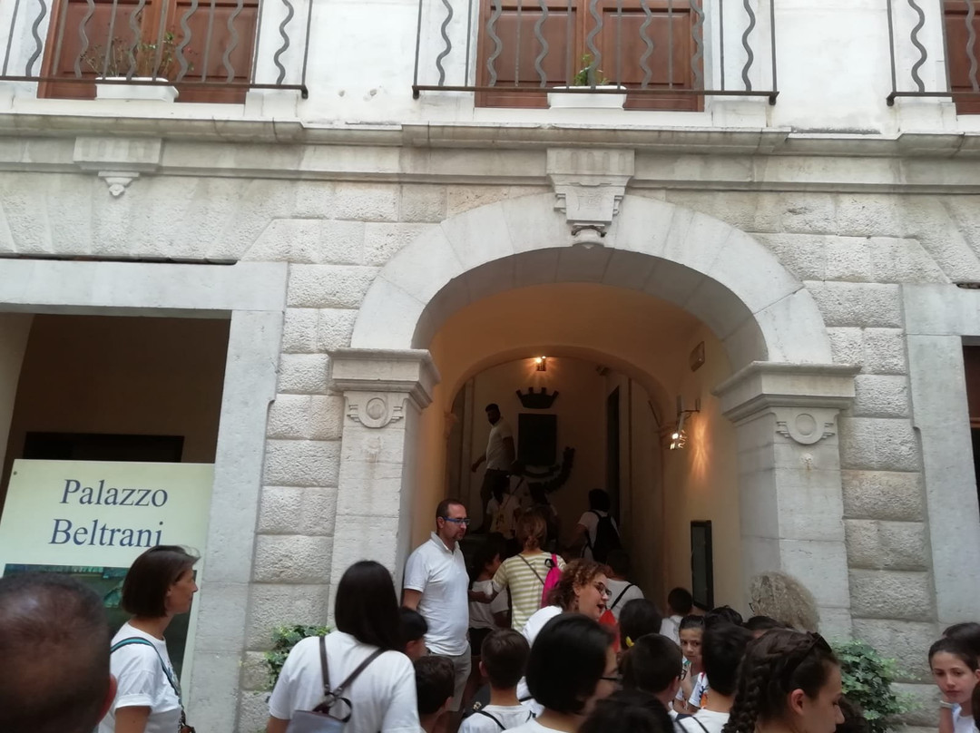 Palazzo delle Arti Beltrani - Pinacoteca Ivo Scaringi-特拉尼必去景点