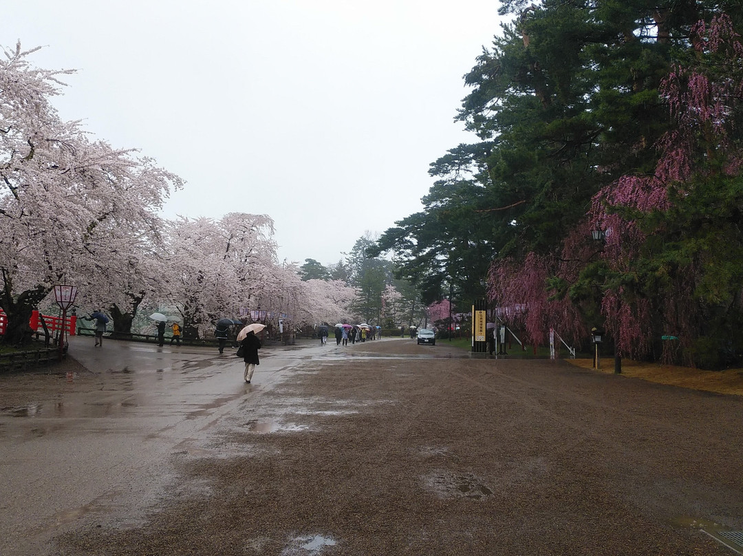 Hirosaki Cherry Blossom Festival-弘前市必去景点