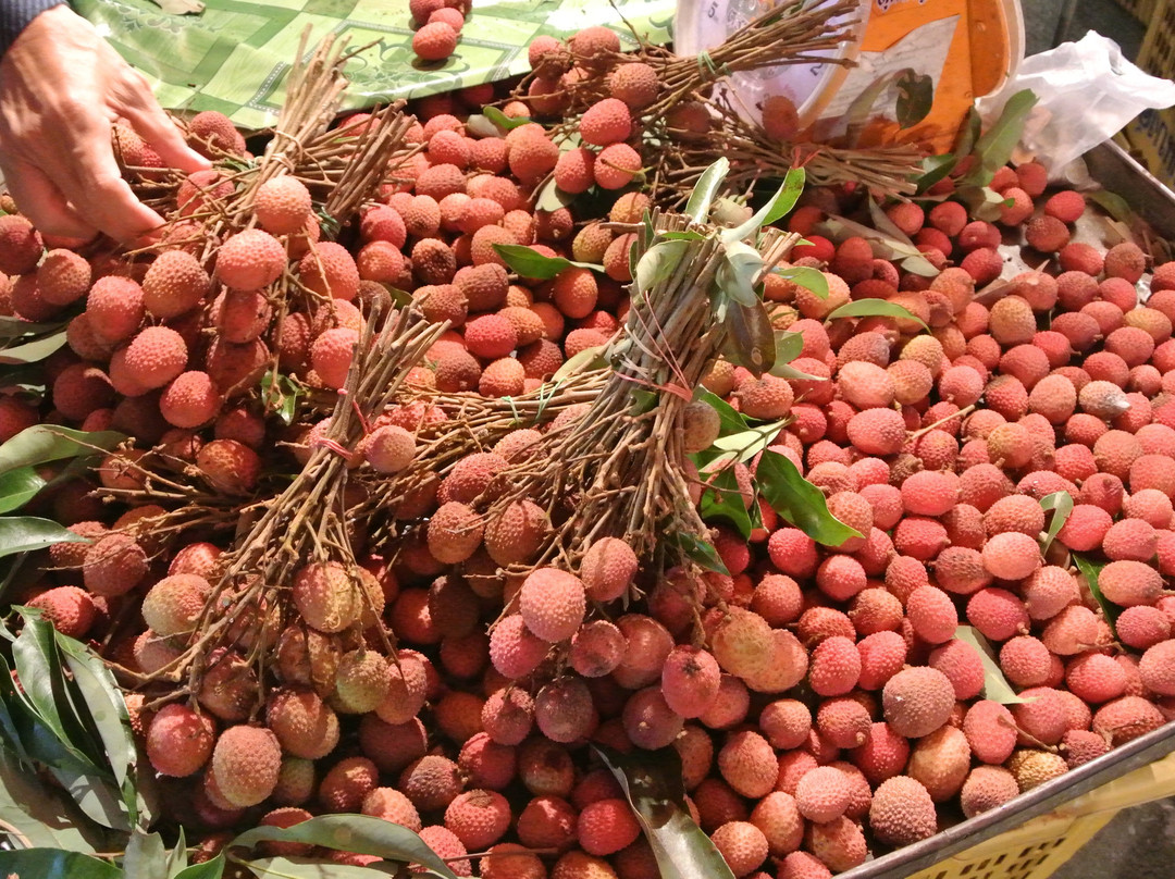 Pak Chong market景点图片