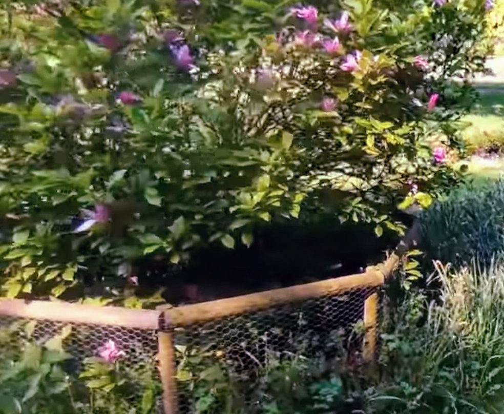 Rosengarten