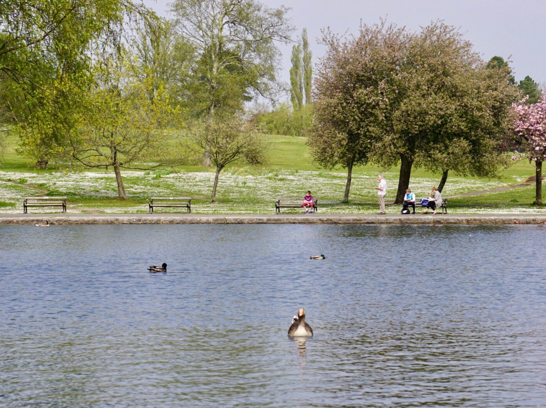 Aberdare Park-Aberdare必去景点