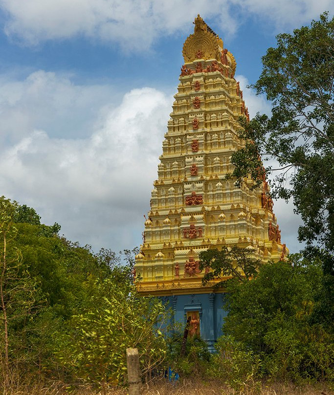 Naguleswaram Temple-贾夫纳必去景点