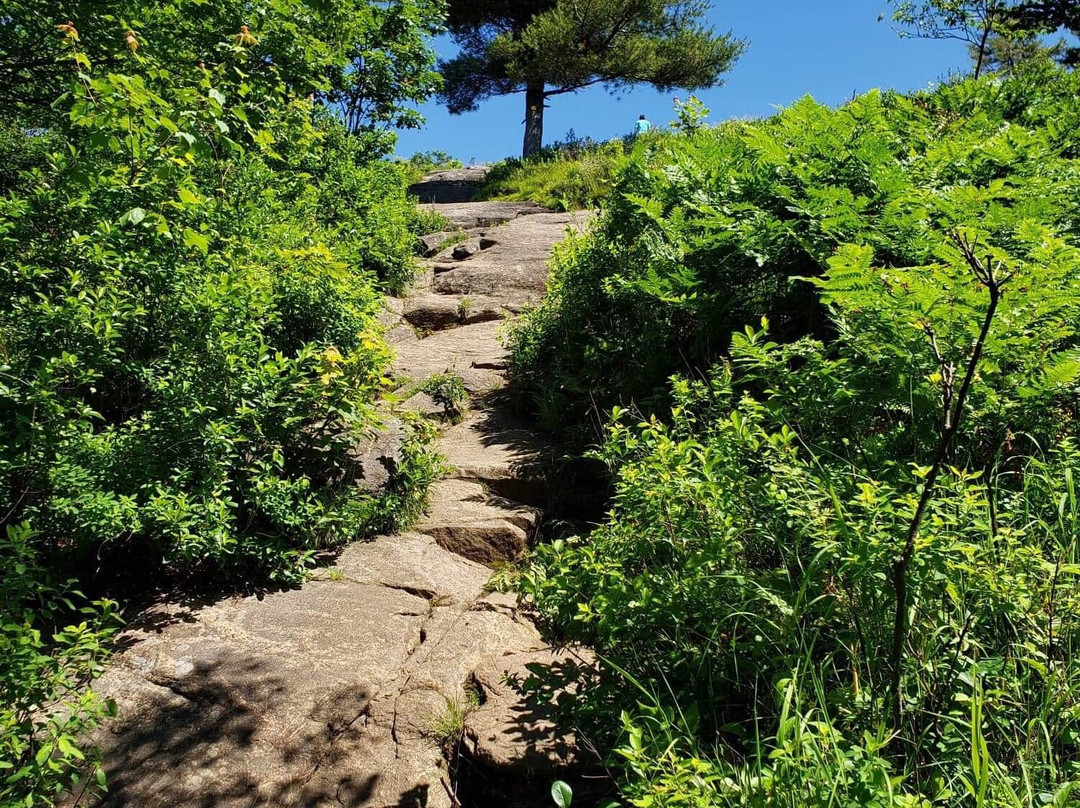 Buck mountain hiking trail-乔治湖必去景点