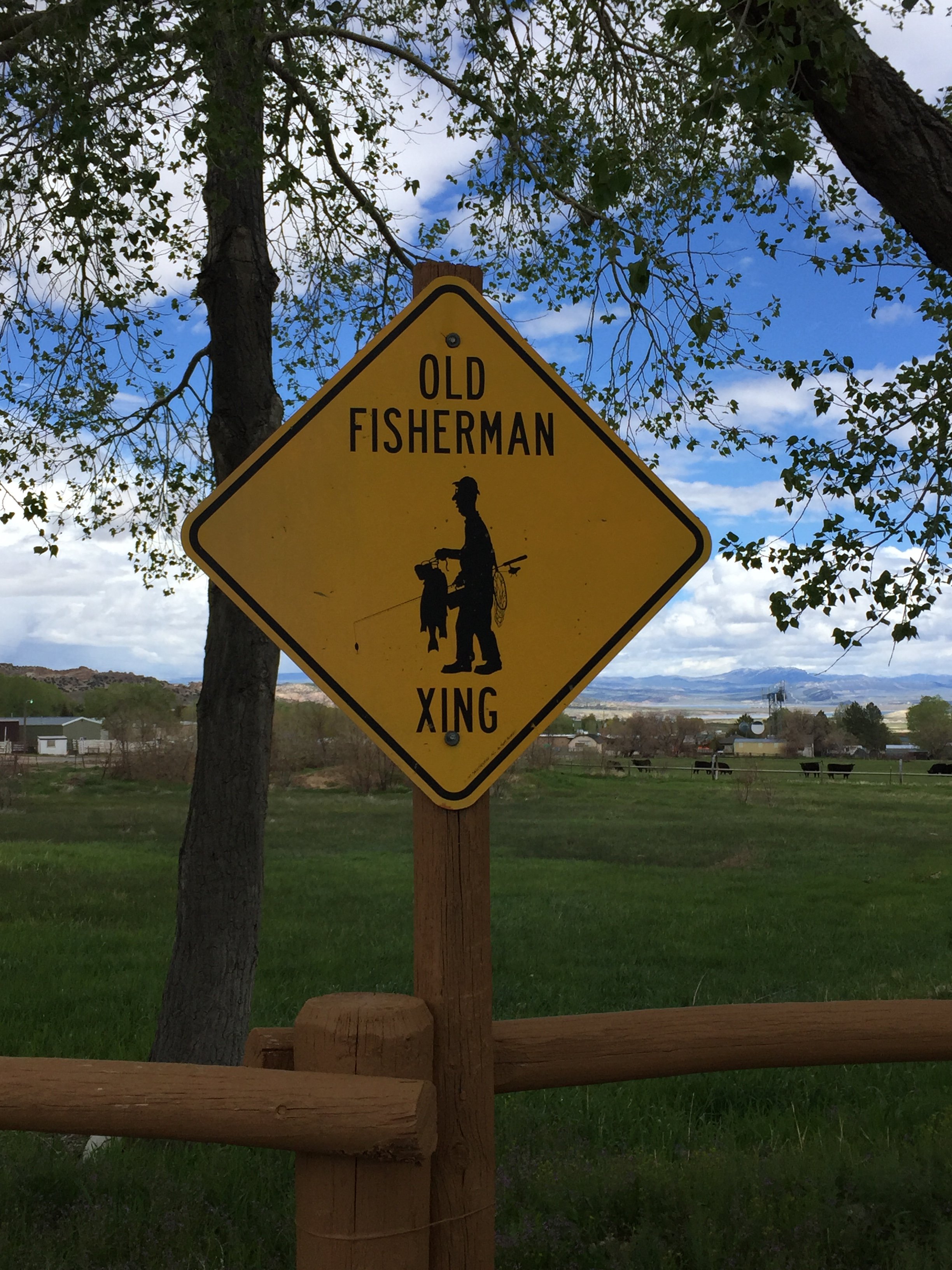 Vacation Inn-酒店景观