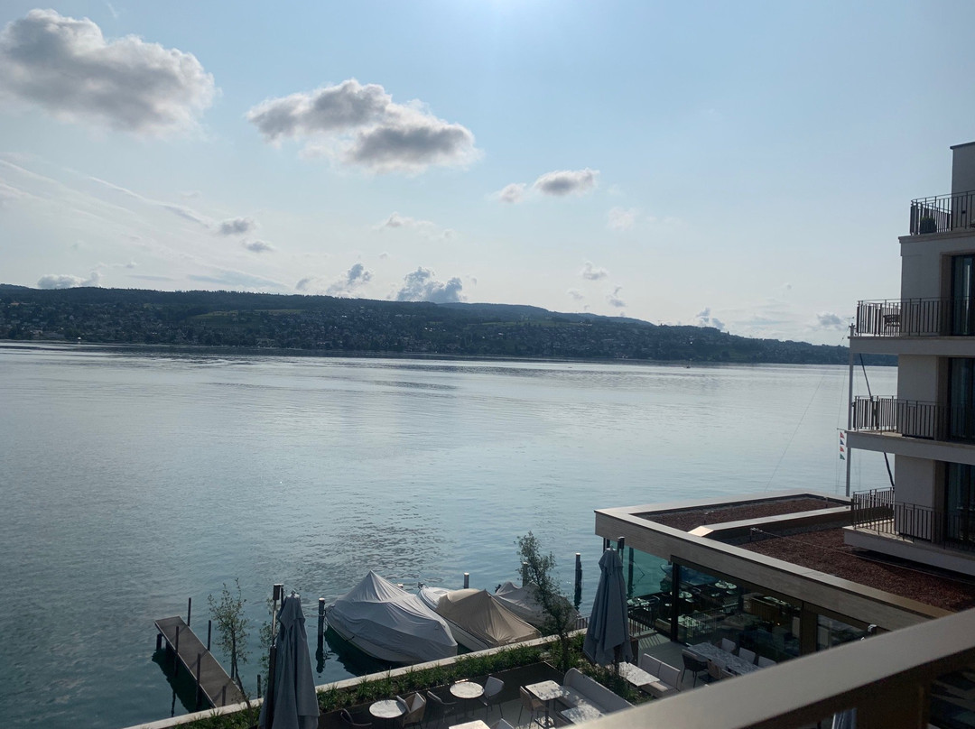 Alex Lake Zürich主图