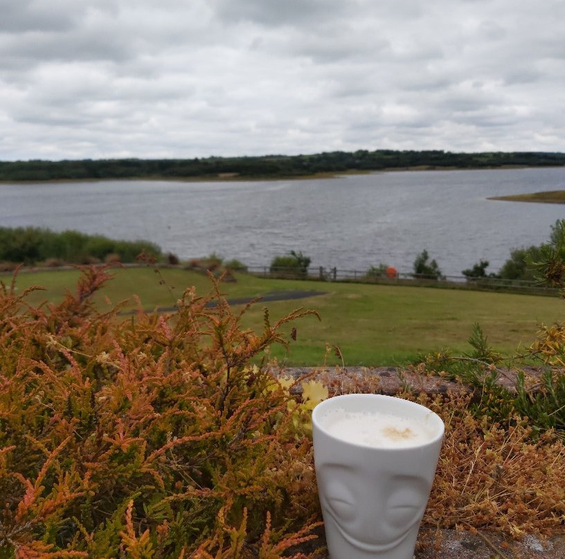 Roadford Lake Activity Centre景点图片