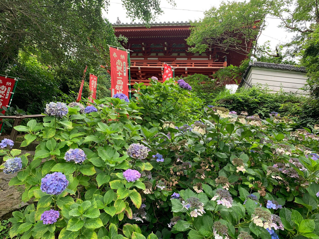 Shori-ji Temple-九度山町必去景点