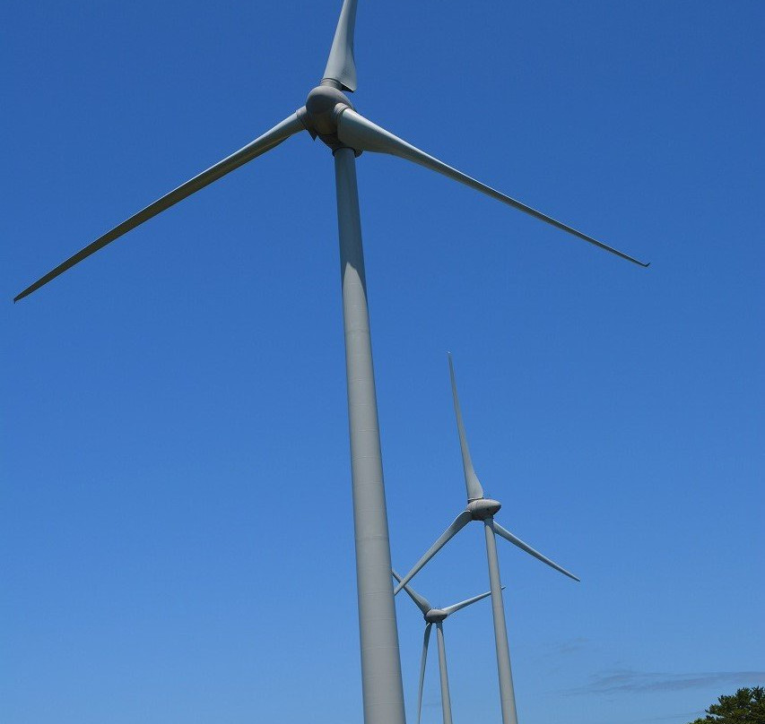 Large-scale Wind Power Generation景点图片