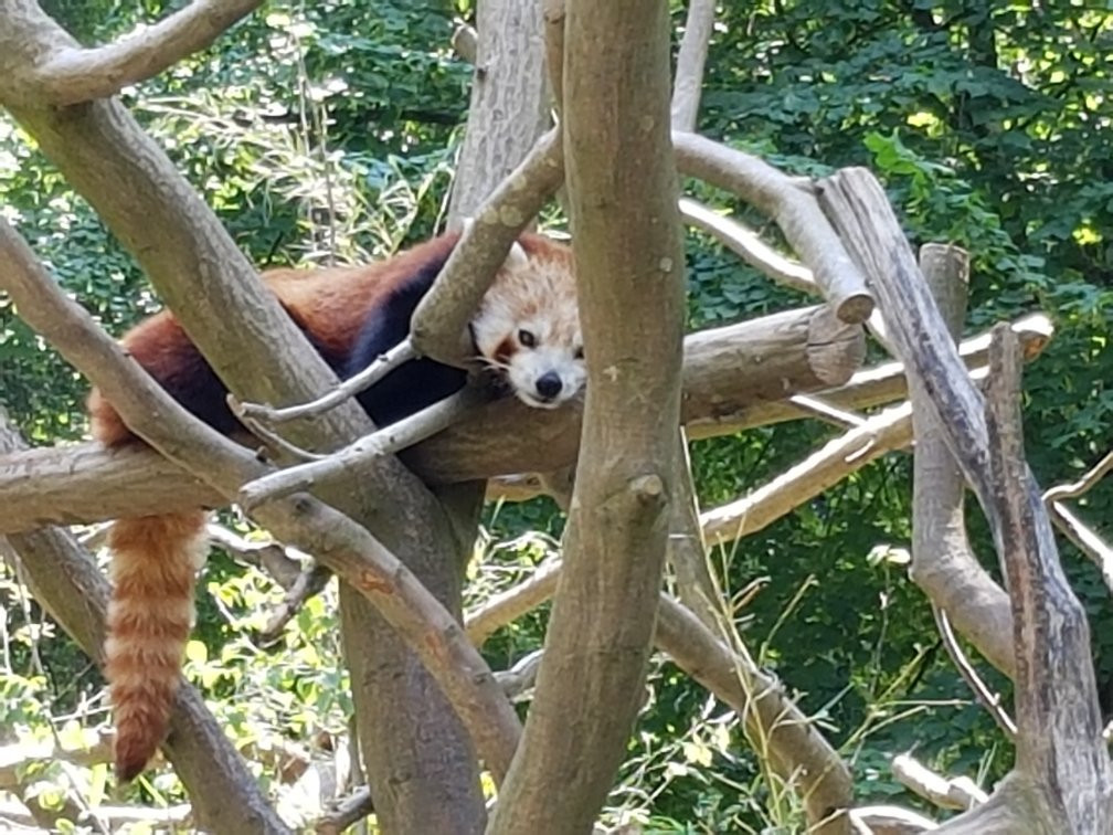 Parc de Clères景点图片