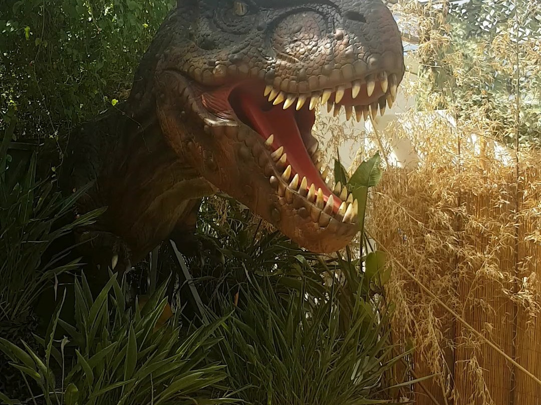 Jurassic Room景点图片