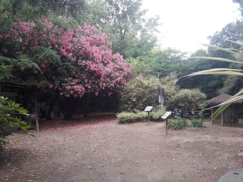 Jardin Exotique景点图片