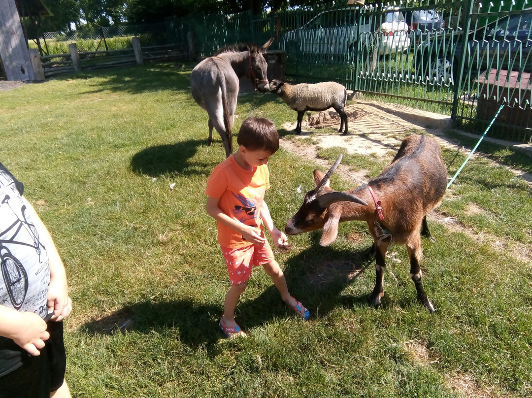 Wawolnica旅游攻略图片