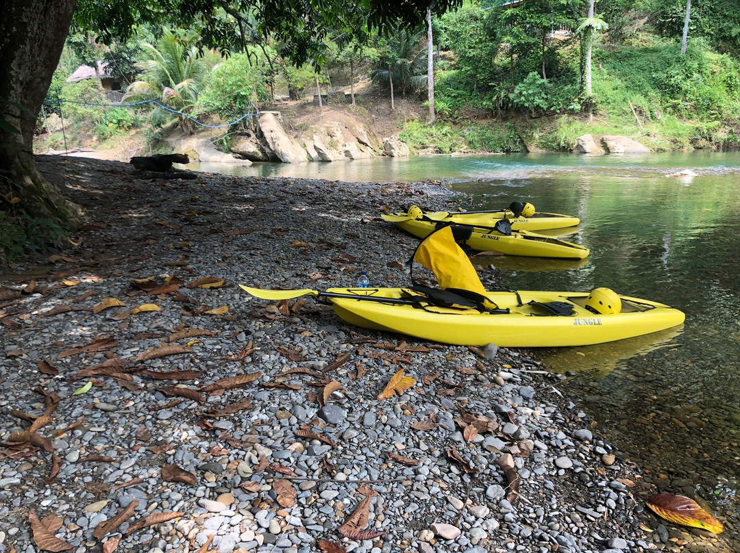 Jungle Kayak景点图片
