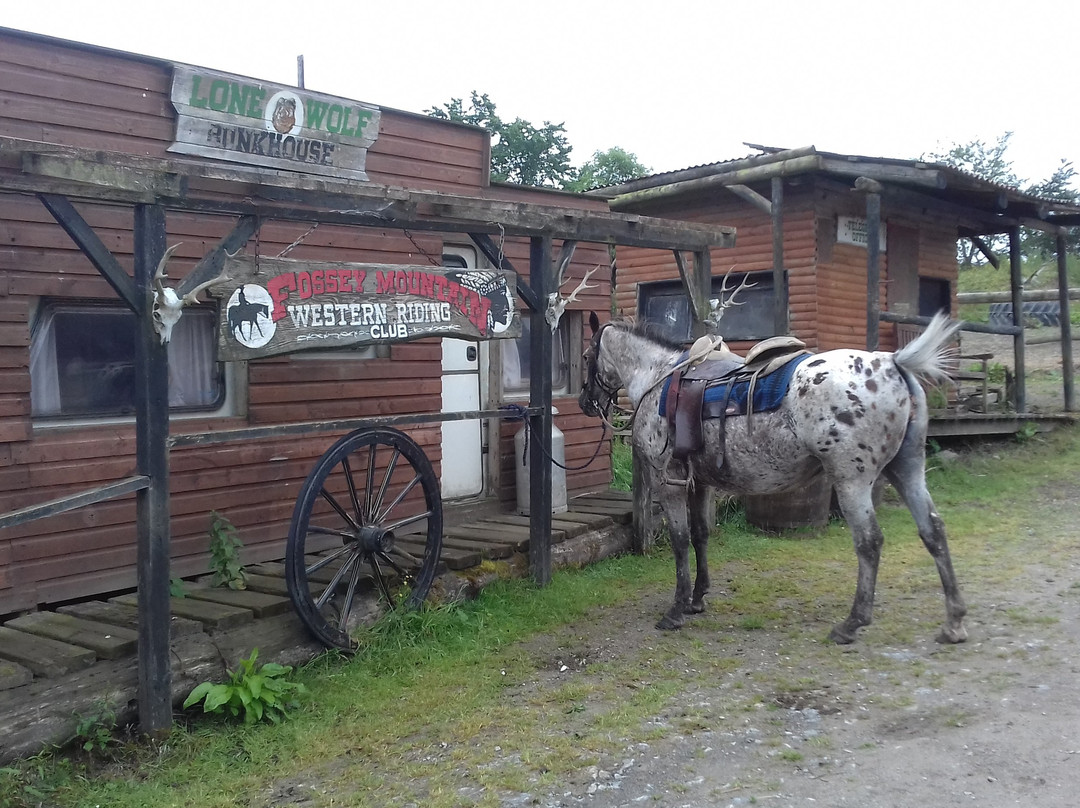 Fossey Mountain Springs Ranch景点图片