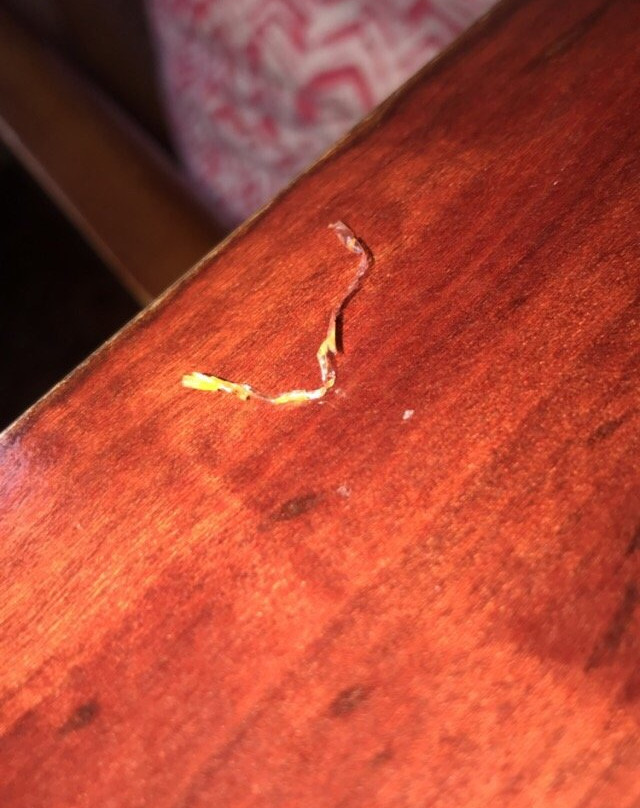 乌兰德豪斯酒店主图