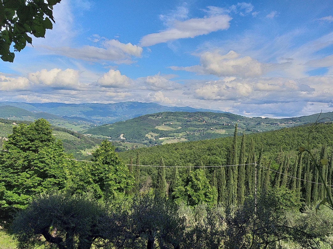Villa Valori B&B主图
