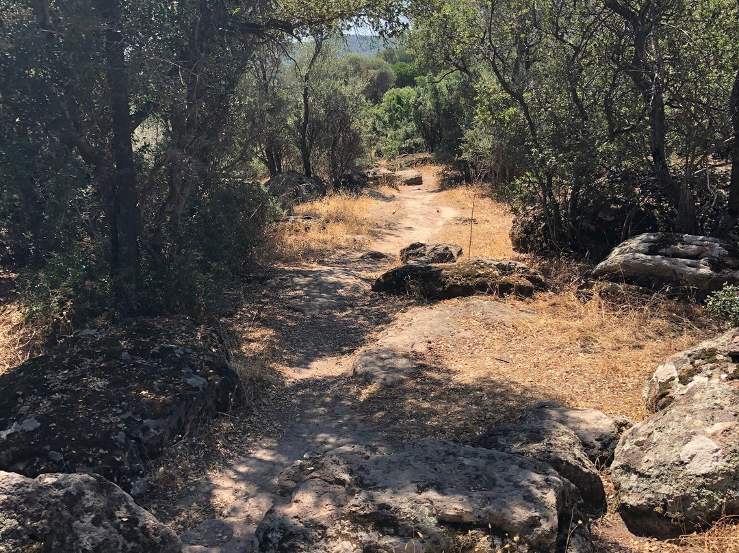 Man'Katsa Waterfall-Lesbos必去景点