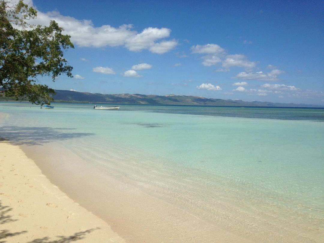 Villa Alfonsina主图